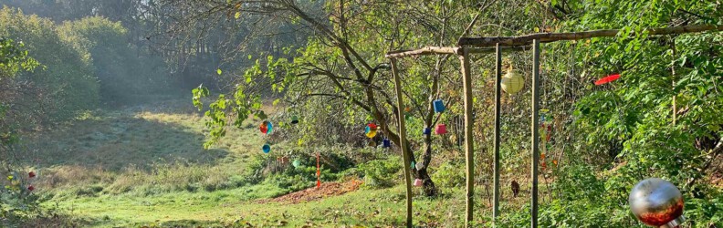 Blick in den Obsthof