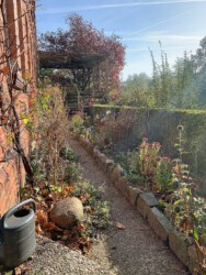 Der kleine Küchen Garten auf der Südseite